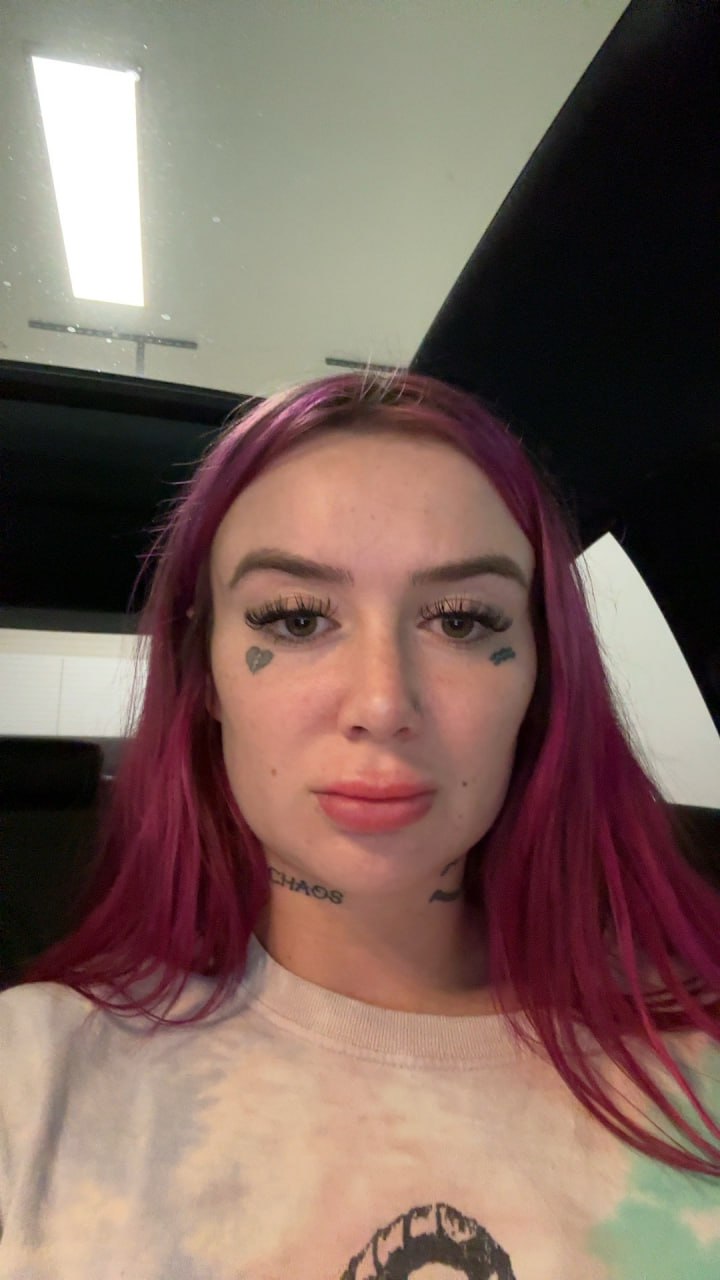 Owner of PayneVuelos